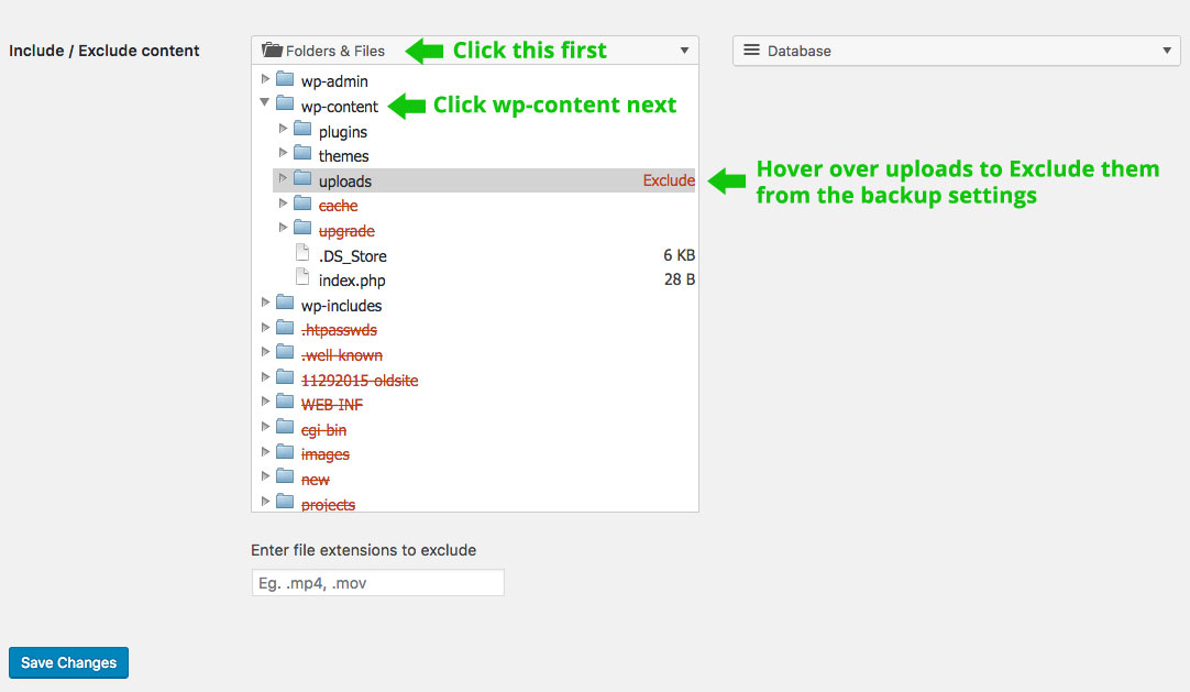 WP Time Capsule backup include or exclude content setting